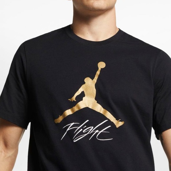 Air Jordan Jumpman Flight Metallic 